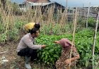 Polsek-Jabon-bersama-Warga-Bangunsari-Siapkan-Lahan-Produktif-Wujudkan-Ketahanan-Pangan