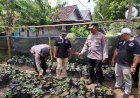 Kasat-Binmas-Polresta-Sidoarjo-Ajak-Maksimalkan-Hasil-Swasembada-Pangan-Kampung-Lombok