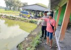 Polsek-Sukodono-Dampingi-Pembudidaya-Ikan-Lele-Ketahanan-Pangan-di-Desa-Pademonegoro