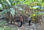 Turung-Langsung-ke-Lahan-P2B-Tanaman-Pisang,-Bhabinkamtibmas-Dorong-Warga-Dukung-Asta-Cita-Presiden