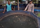 Bhabinkamtibmas-Kalijaten-Motivasi-Warga-Optimalkan-Upaya-Ketahanan-Pangan-Melalui-Budidaya-Lele