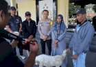 Polres-Bondowoso-Amankan-Tersangka-Curwan,-Barang-Bukti-Kambing-Diserahkan-Kembali-ke-Pemilik