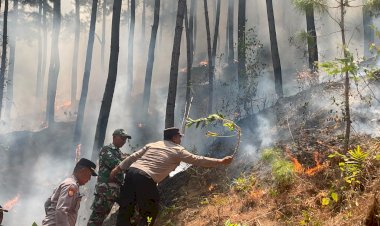 Polres-Ponorogo-dan-Tim-Gabungan-Tembus-Medan-Curam-Lereng-Gunung-Limas-Padamkan-Api-Karhutla