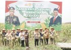 Wujudkan-Swasembada-Pangan,-Polresta-Sidoarjo-Panen-Raya-Jagung-Tahap-I