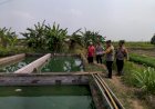 Kapolsek-Krembung-Cek-Kolam-Gurami-dan-Tanaman-Warga-untuk-Ketahanan-Pangan