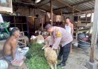 Polsek-Tulangan-Motivasi-Peternak-Kambing-Dukung-Ketahanan-Pangan-Polresta-Sidoarjo