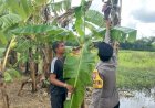 Polisi-Edukasi-Warga-Tanam-Pisang-untuk-Swasembada-Pangan-Mandiri