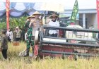 Forkopimda-Sidoarjo-Ikuti-Panen-Raya-Serentak-di-Sawah-Padi-Desa-Kemuning-Tarik