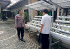 Pemdes-Larangan-Dukung-Ketahanan-Pangan-Lewat-Pemanfaatan-Lahan-Kosong-untuk-Hidroponik