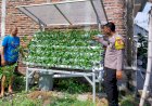 Ajak-Lestarikan-Tanaman-Hidroponik-di-Desa-Bligo,-Optimis-Perkuat-Ketahanan-Pangan-Warga