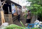 Polsek-Krembung-Dukung-Ketahanan-Pangan-Melalui-Pendampingan-Peternak-Kambing-di-Desa-Rejeni