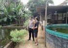 Kapolsek-Tarik-Apresiasi-Budidaya-Lele-Warga-Kramat-Temenggung,-Dukung-Ketahanan-Pangan