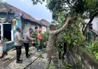 Hujan-Deras-Disertai-Angin-Terjang-Empat-Desa-di-Prambon