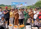 Panen-Raya-Jagung-Kuartal-III-di-Balongbendo,-Wujud-Nyata-Swasembada-Pangan-Nasional