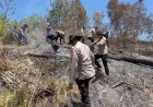 Karhutla-Hanguskan-5-Hektare-Lahan-di-Mamasa,-Polisi-dan-Damkar-Berjibaku-Padamkan-Api