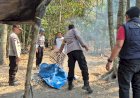 Respon-Cepat-Aduan-Masyarakat,-Polres-Kediri-Bongkar-Arena-Sabung-Ayam-di-Plosorejo