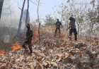 Respons-Cepat-Polres-Ponorogo-dan-Tim-Gabungan-Berhasil-Jinakkan-Karhutla-di-Sampung