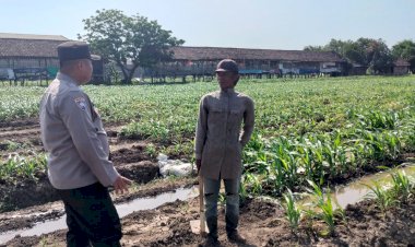Polsek-Prambon-Masifkan-Pendampingan-Petani,-Optimalkan-Lahan-Jagung-Dukung-Ketahanan-Pangan