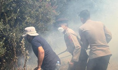 Karhutla-Bromo:-Api-Mengarah-ke-Ngadisari,-Polres-Probolinggo-Gerak-Cepat-Padamkan-Api-di-Blok-Seruni