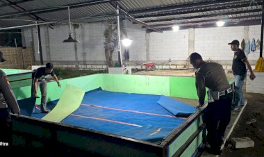 Respon-Laporan-Warga,-Polresta-Sidoarjo-Bongkar-Arena-Sabung-Ayam-di-Dua-Lokasi