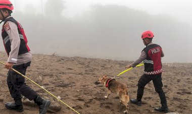 Unit-Polsatwa-Ditsamapta-Polda-Sumbar-Turunkan-K9-Spesifikasi-SAR-Telusuri-Jalur-Air-Bah