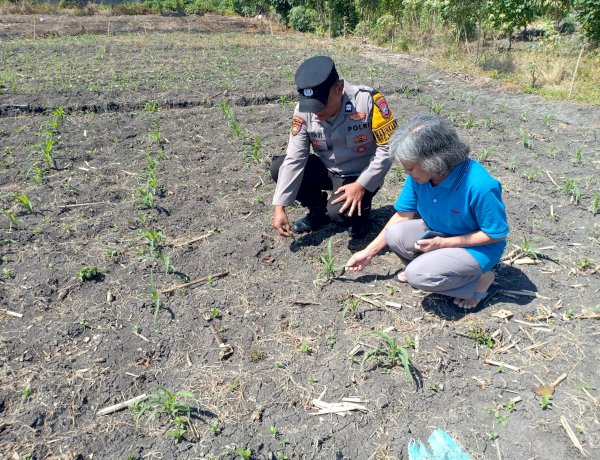 Polsek Taman Patroli Ketahanan Pangan Beri Semangat Petani Tingkatkan Panen