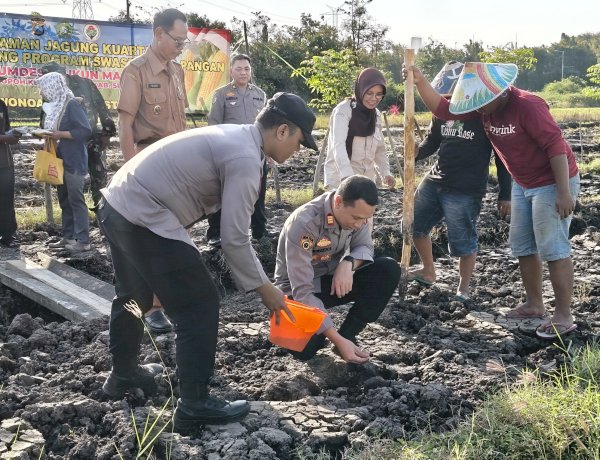 Kapolsek Wonoayu bersama Gapoktan Tanam Jagung Kuartal II, Dukung Swasembada Pangan Nasional
