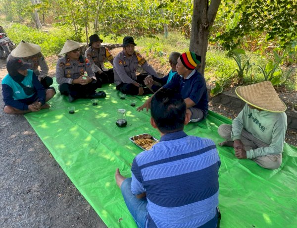 Kapolsek Balongbendo Pantau Kesiapan Panen Raya Jagung, Petani Soroti Harga dan Kebutuhan Bibit