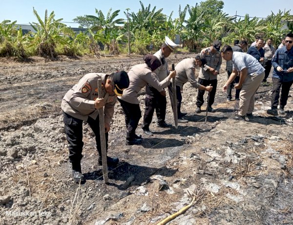 Wujudkan Swasembada Pangan, Optimalkan Tanam Jagung di Desa Punggul Gedangan