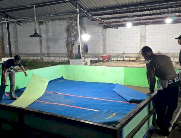 Respon Laporan Warga, Polresta Sidoarjo Bongkar Arena Sabung Ayam di Dua Lokasi