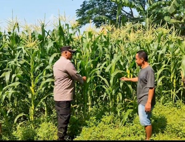 Polsek Tanggulangin Dukung Ketahanan Pangan, Upayakan Keluhan Petani di Desa Randegan