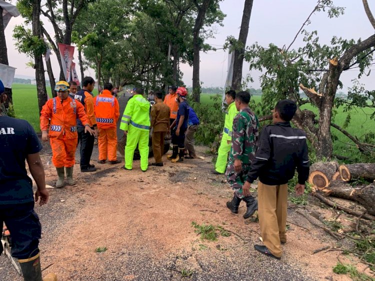 Gerak Cepat Polisi dan TNI Bantu Tangani Pohon Tumbang, Jalan Raya Gondang Tulungagung Kembali Normal