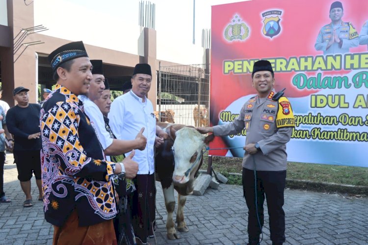 Polresta Sidoarjo Salurkan Hewan Kurban 21 ekor Sapi dan 55 ekor Kambing ke Masyarakat