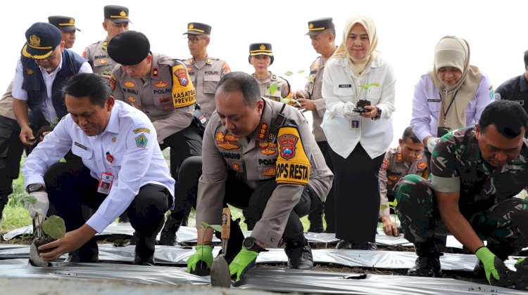 Upaya Polresta Malang Kota bersama Pemkot Wujudkan Ketahanan Pangan di Tengah Keterbatasan Lahan