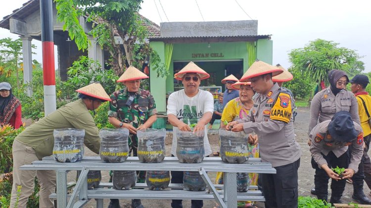 Penyerahan Bibit Tanaman dan Penyuluhan Ketahanan Pangan di Tambak Kalisogo Jabon