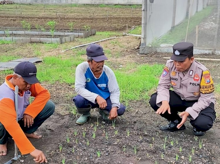 Bhabinkamtibmas Desa Bakung Temenggungan Pantau Pekarangan Pangan Bergizi