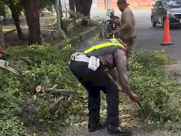 Sinergi Anggota Polsek Buduran dan DLHK Sidoarjo Sigap Tangani Pohon Tumbang di Depan Museum Mpu Tantular