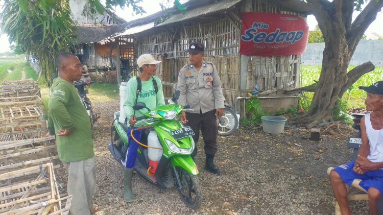 Polsek Prambon Pantau Jagung di Bulang, Pertumbuhan Tanaman Stabil
